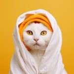 gata