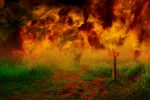 burning-fire-with-smoke-coming-out-it pixabay
