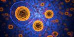 cells microscope pixabay