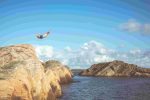 cliff diving pixabay
