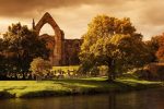 Kirkstall Abbey gold tree pixabay